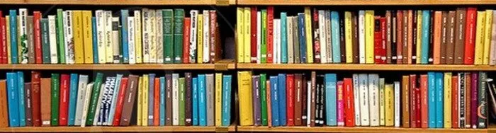 Estantes con libros de la biblioteca del autor